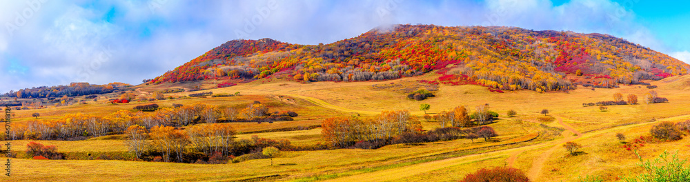 Colorful forest and mountain natural landscape in autumn.Beautiful autumn scenery in the Ulan Butong