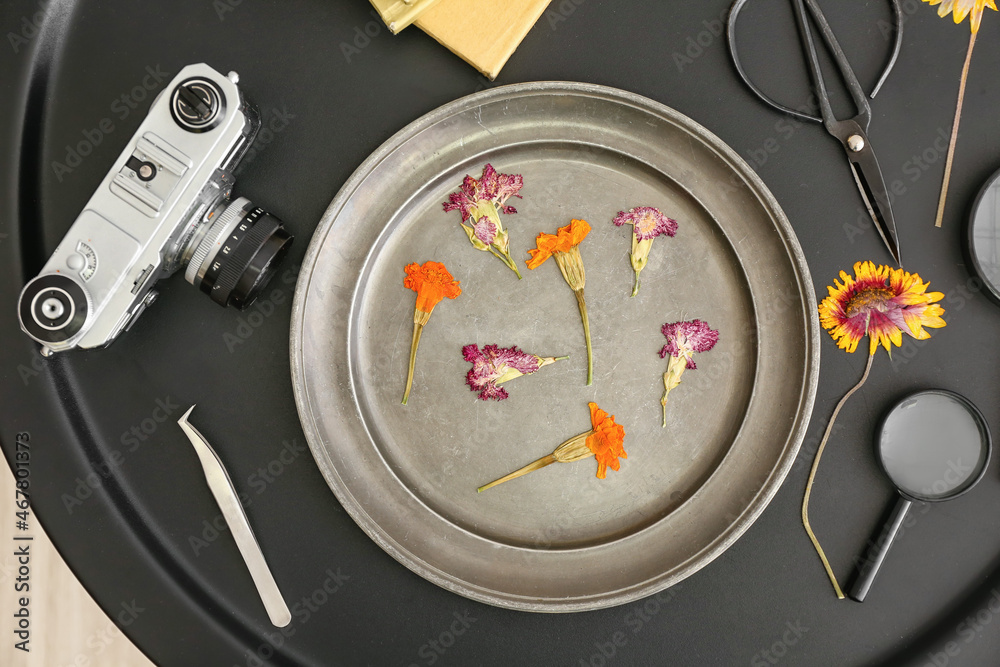 Tray with dried pressed flowers, photo camera, scissors and tweezers on table