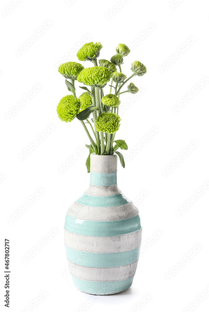 白色背景上的绿色菊花花瓶