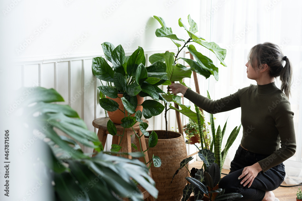 照顾和照顾她的植物的女人