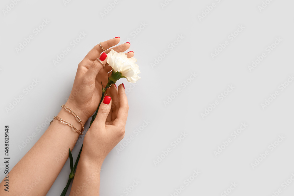 佩戴时尚珠宝的女性双手在浅色背景下手持康乃馨花