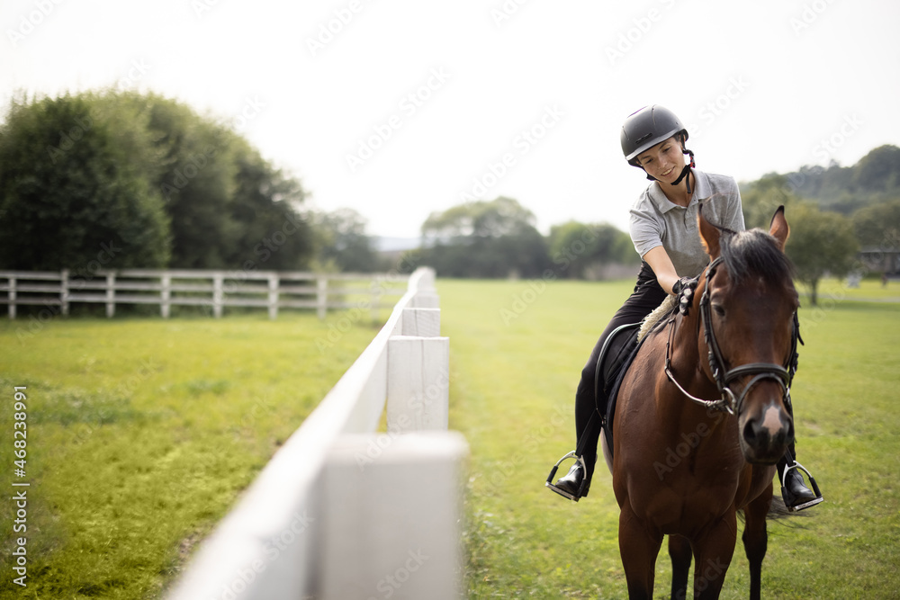 在乡村围栏附近的绿色草地上，骑着棕色纯种马的女骑手。概念o