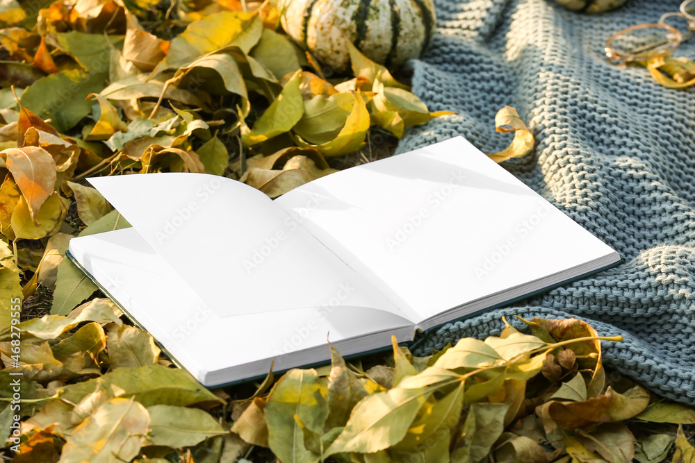 秋天公园里的空白书和树叶上温暖的格子