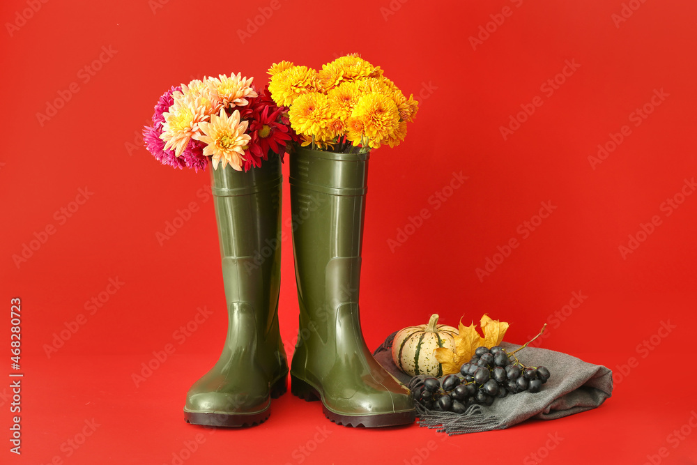 以橡胶靴、菊花、南瓜和葡萄为背景的构图