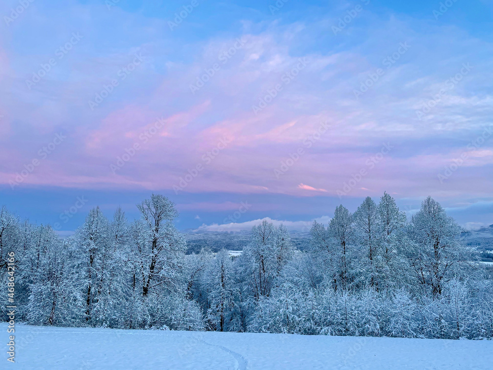 令人惊叹的粉红色冬季早晨天空横跨田园诗般的白色乡村。