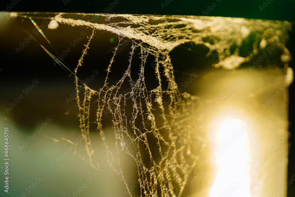 闪闪发光的蜘蛛网挂在角落里。阳光下的蛛网。不均匀的蛛网
