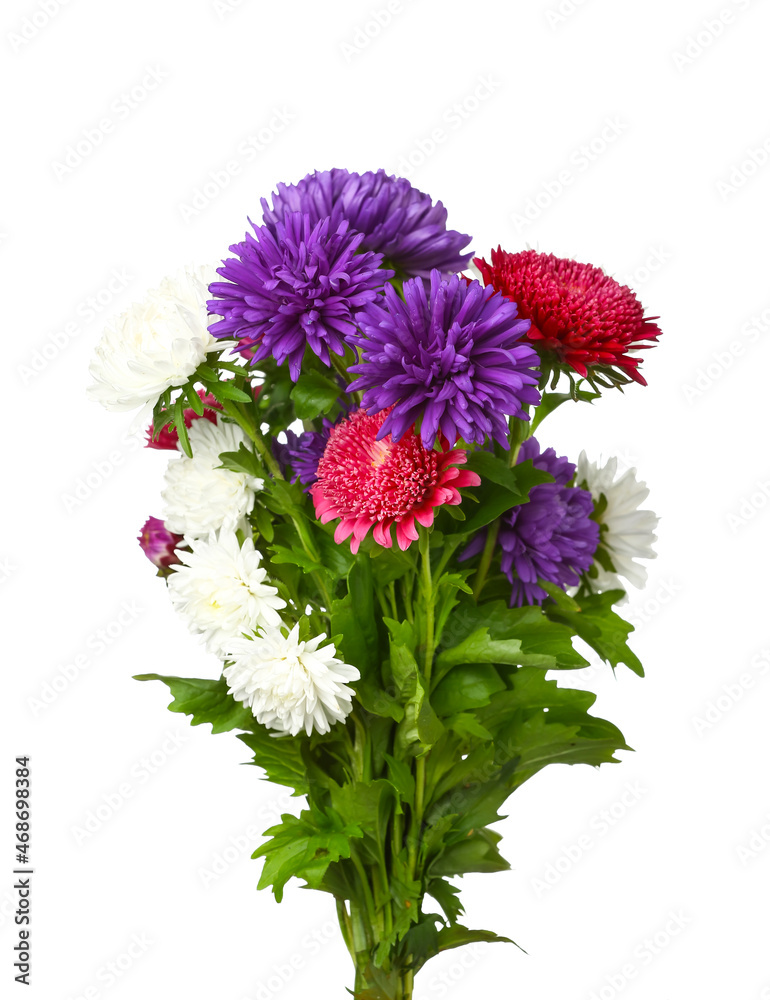 Bouquet of different aster flowers on white background, closeup