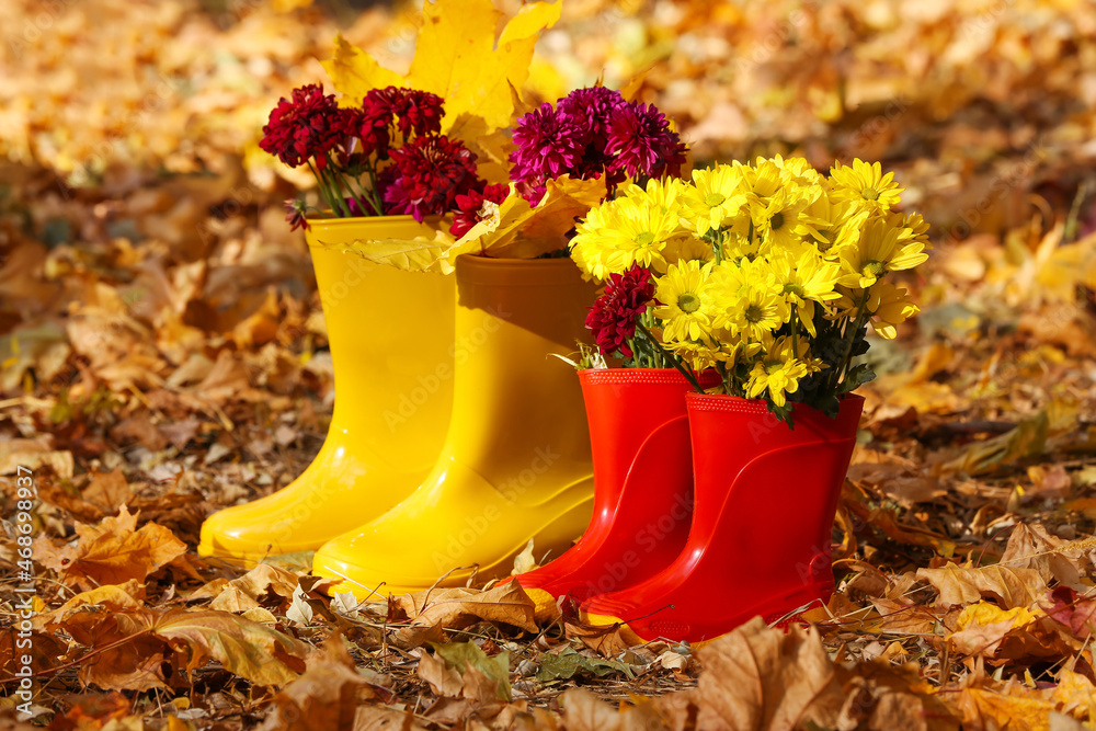 Pair of rubber boots with leaves and beautiful flowers in autumn park