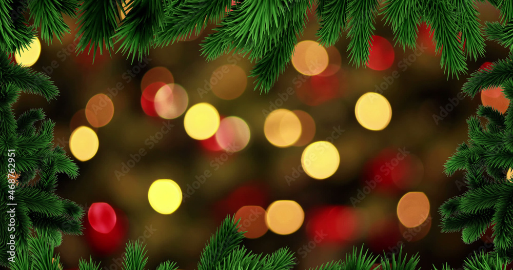 圣诞枞树在光点上的图像