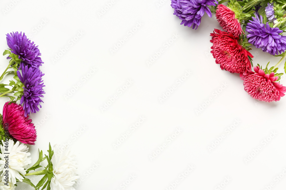 白色背景上隔离的不同紫菀花，特写