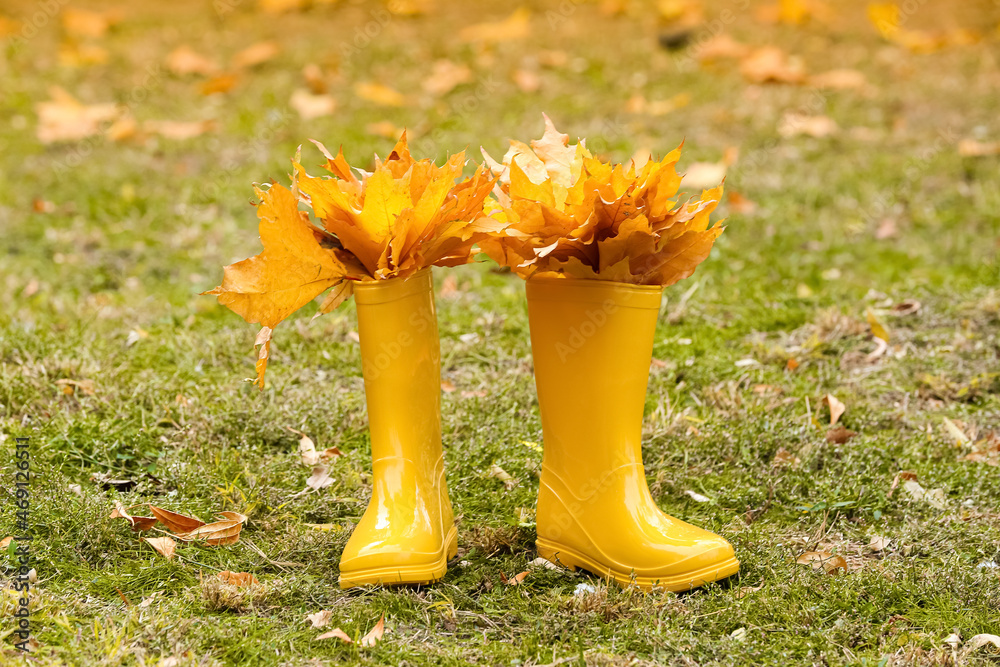Pair of yellow rubber boots and autumn leaves in park
