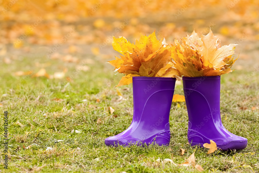 公园里的一双秋叶橡胶靴