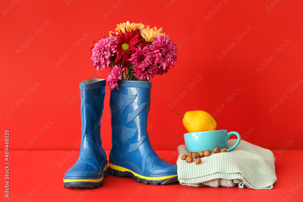 Composition with rubber boots, flowers, pear and nuts on color background