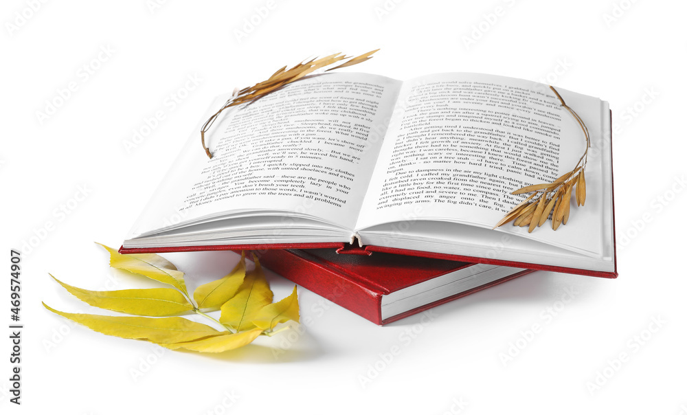 Open book, ash leaf and seeds on white background