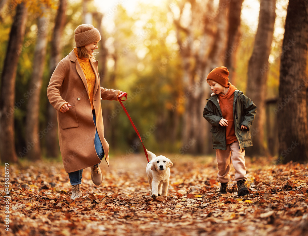快乐的家庭母亲和小男孩儿子在秋天的一天和金毛寻回犬在公园里散步，