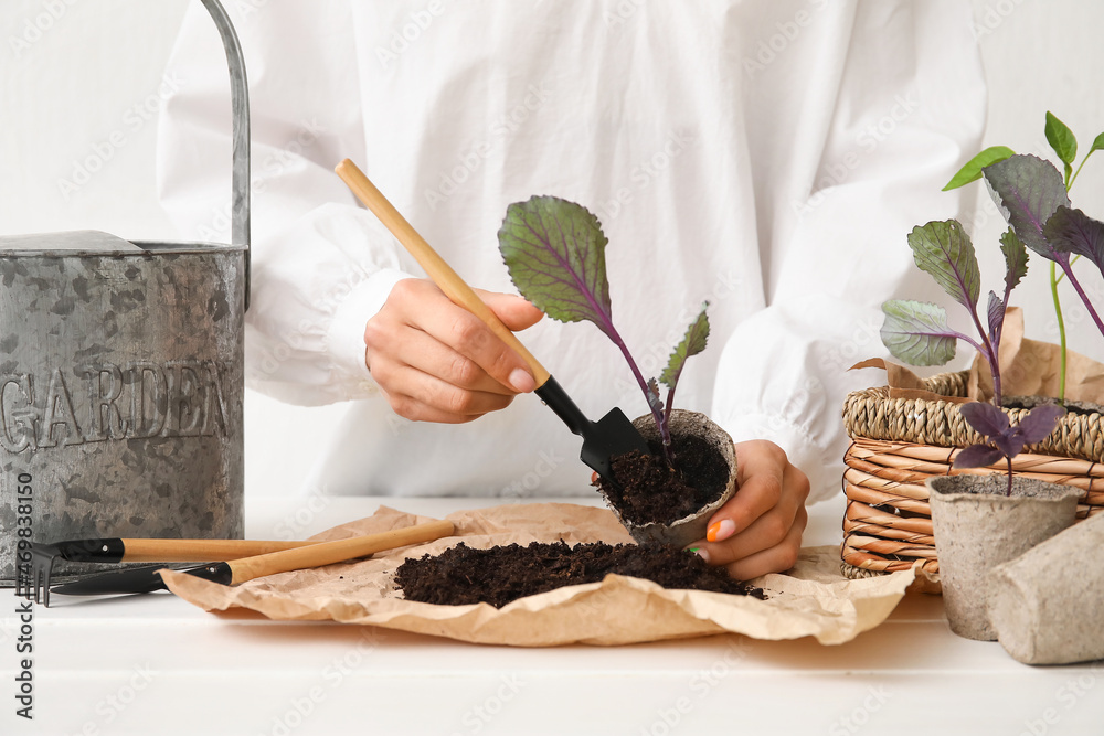 Woman adding soil to young plant on white wooden table