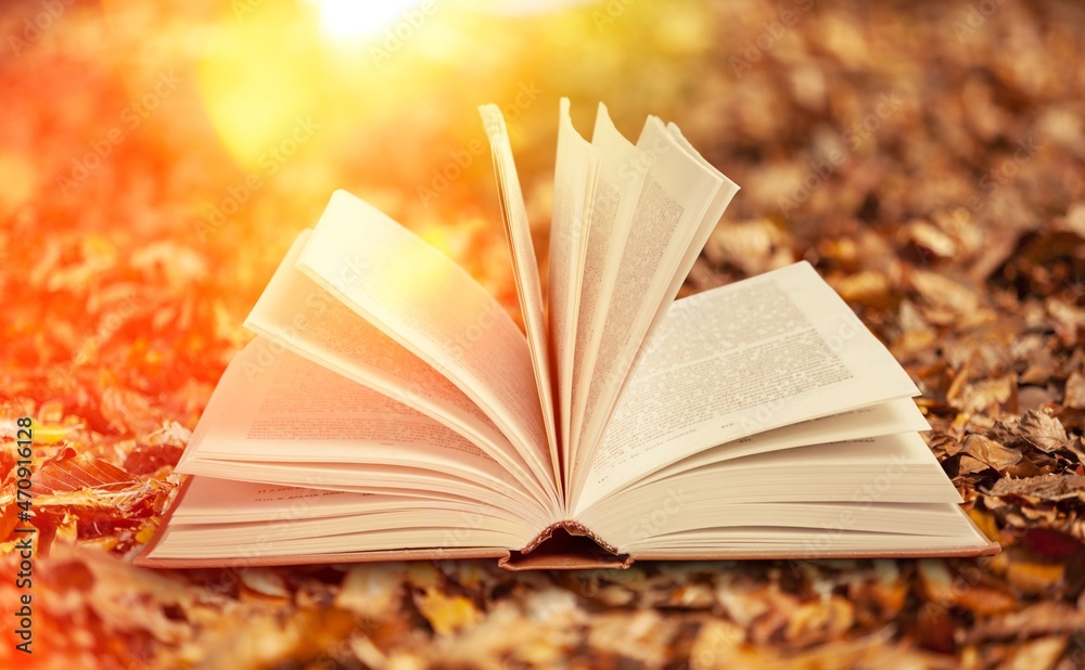 打开一本关于秋天公园背景的书，上面有秋天的落叶。