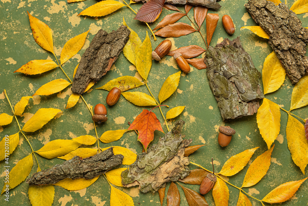 美丽的秋季构图，彩色背景上有落叶、橡子和树皮，特写