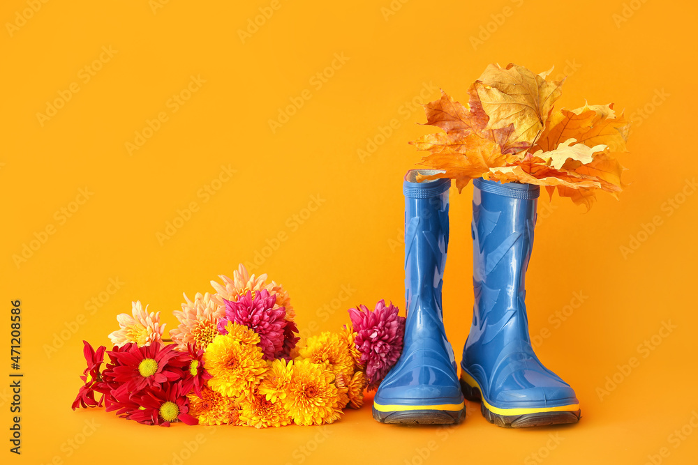 橡胶靴，彩色背景上的秋叶和花朵