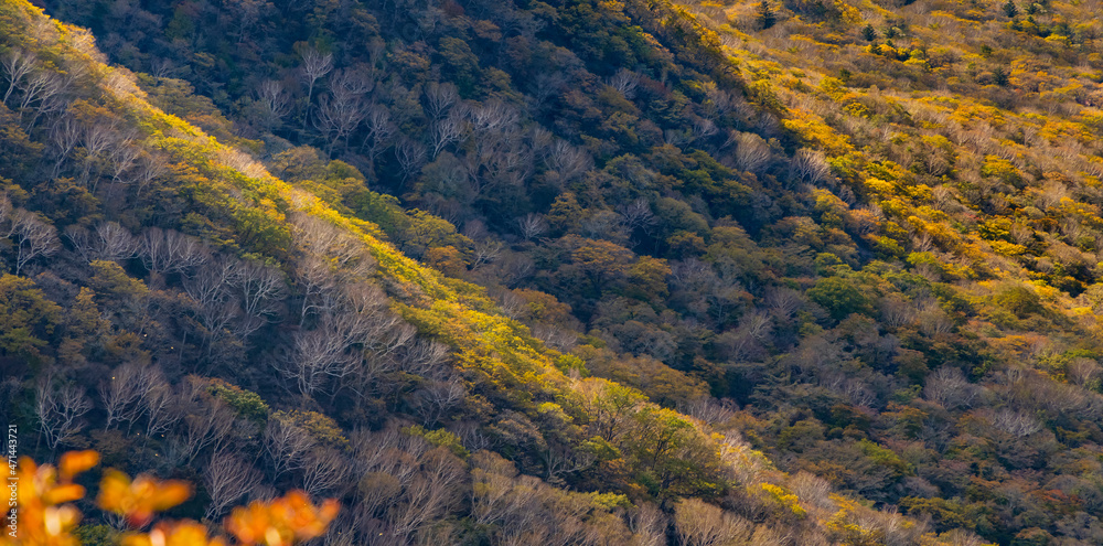 赤城山から見る紅葉した山の景色