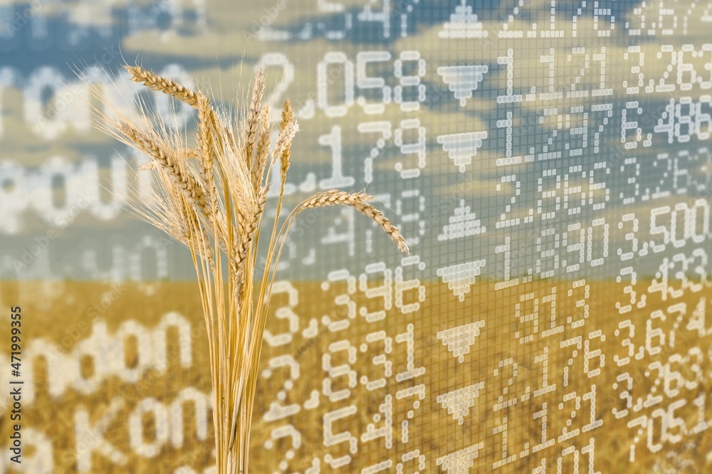 食品价格上涨图。小麦种子价格上涨。自然背景下的交换报价