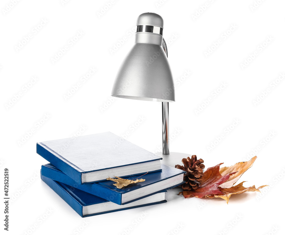 白色背景下的一叠书、松果、秋叶和灯