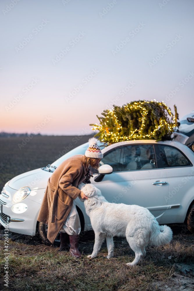 一名女子在汽车附近和她的白狗玩耍，并在d自然公园的屋顶上点亮了圣诞树