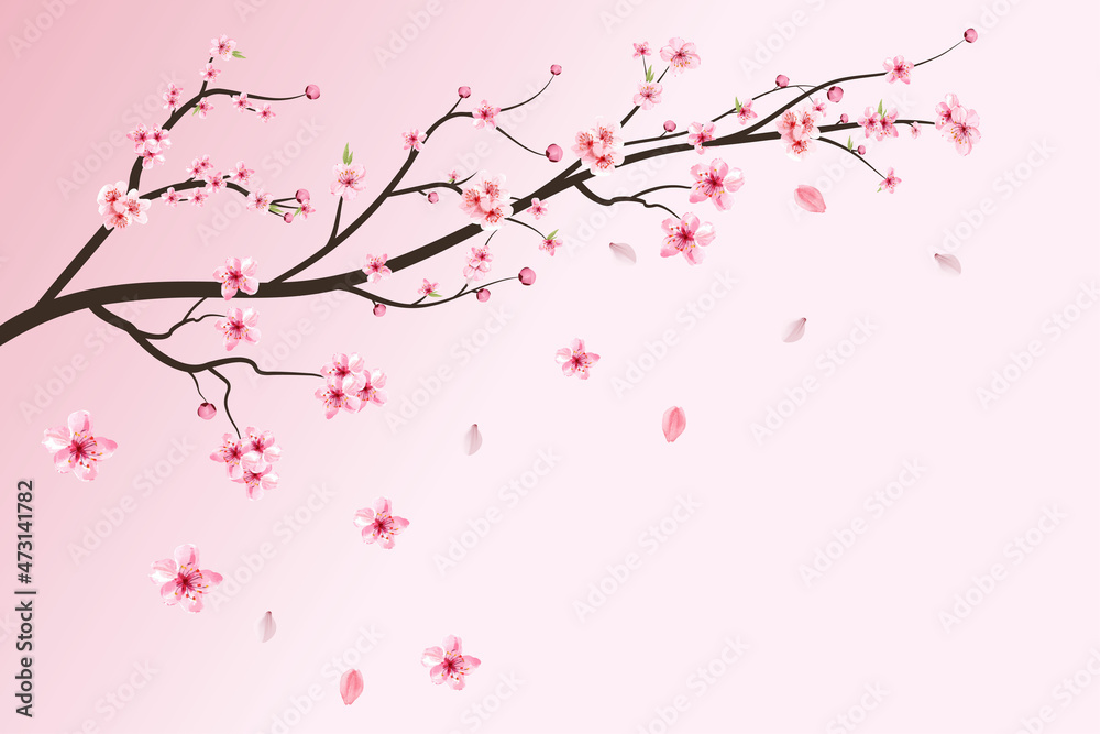 真实的樱花枝。粉色樱花飘落。樱花与盛开的水彩花。