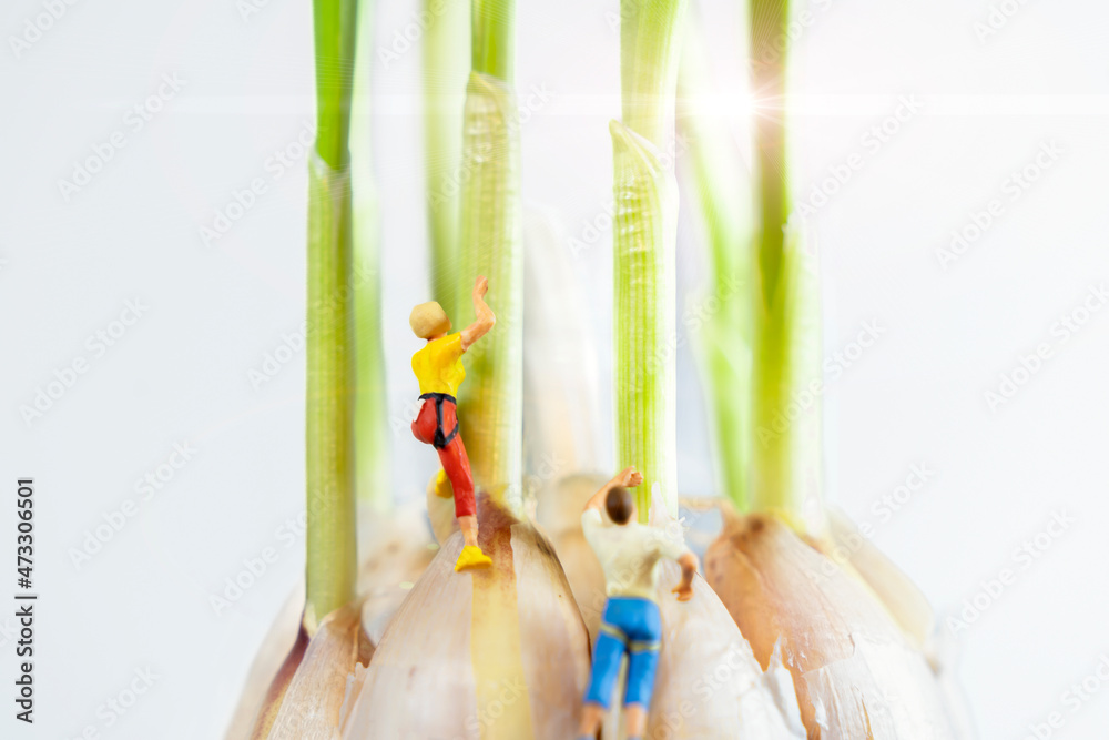 小个子在蔬菜上爬行