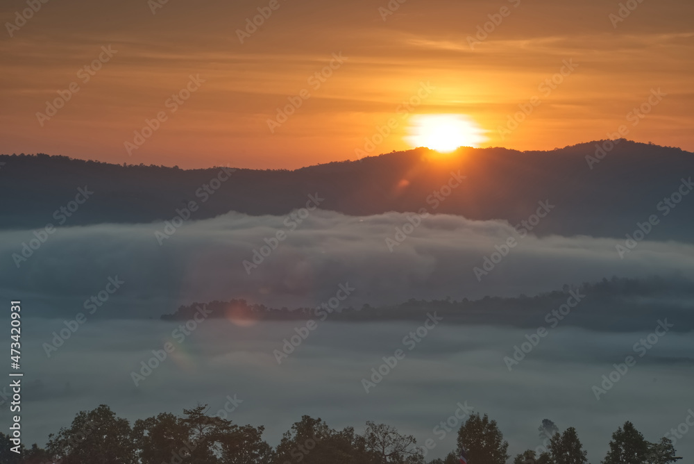 日落时分，蓬松的雾海覆盖着森林山谷