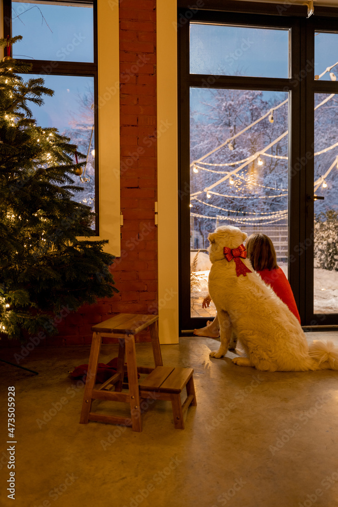 一个带着狗的女人在雪地花园里一起看，坐在舒适的客厅靠窗的地方。