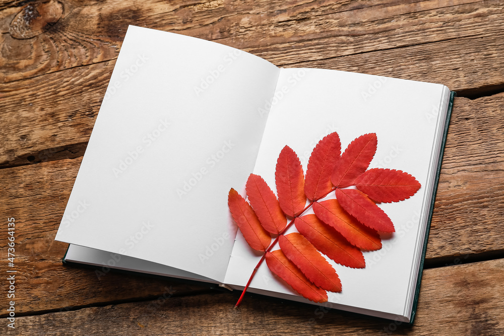 打开的书，有空白的书页和木底秋叶的树枝