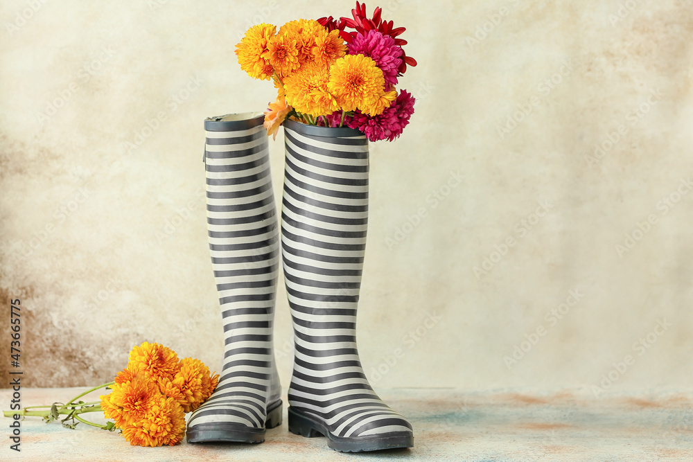 橡胶靴和浅色背景下美丽的菊花