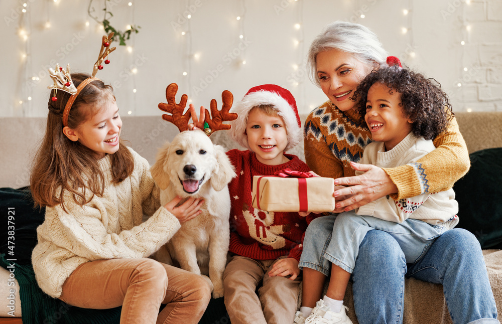 幸福的多民族家庭，祖母带着孙子和狗享受圣诞节
