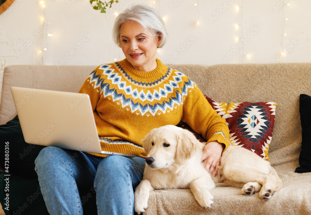 微笑的老年妇女在笔记本电脑上看圣诞电影，和金毛寻回犬在沙发上放松