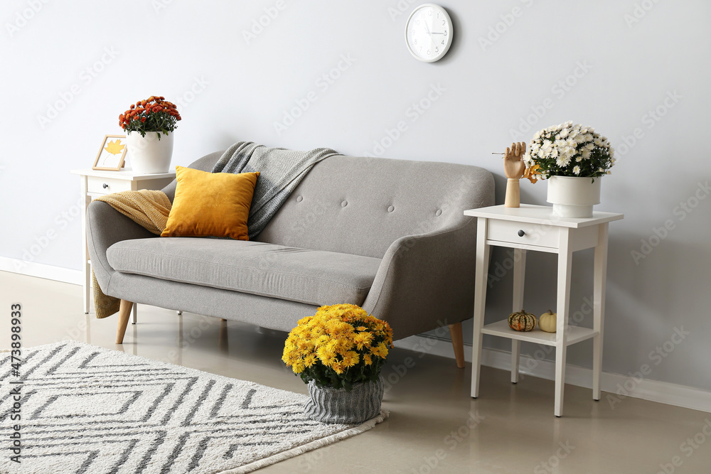 带舒适沙发和菊花的现代客厅内部