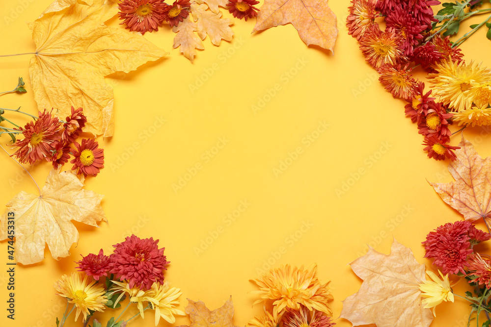 彩色背景下的菊花和秋叶框架，特写