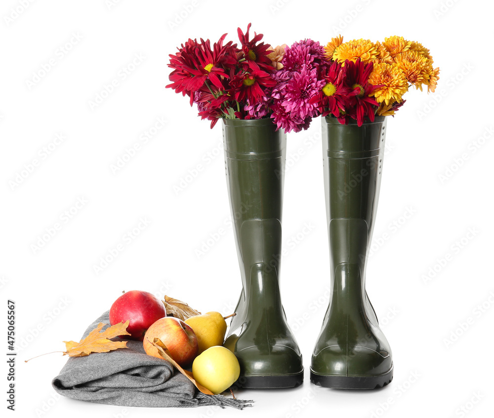 Rubber boots with chrysanthemum flowers and fruits on white background