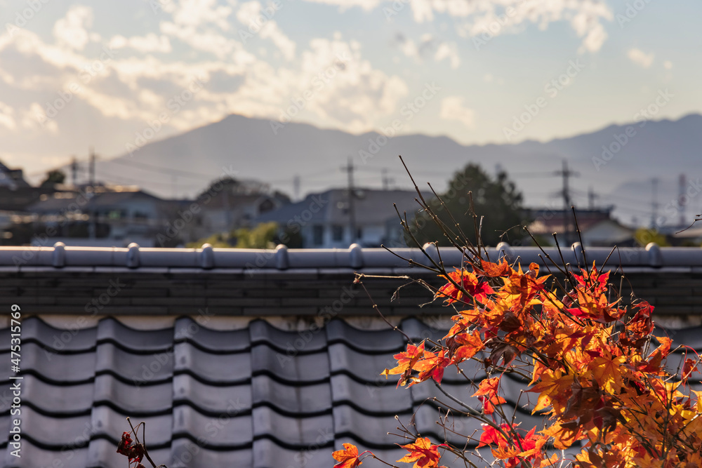 横浜郊外の高台から見える街並みと山