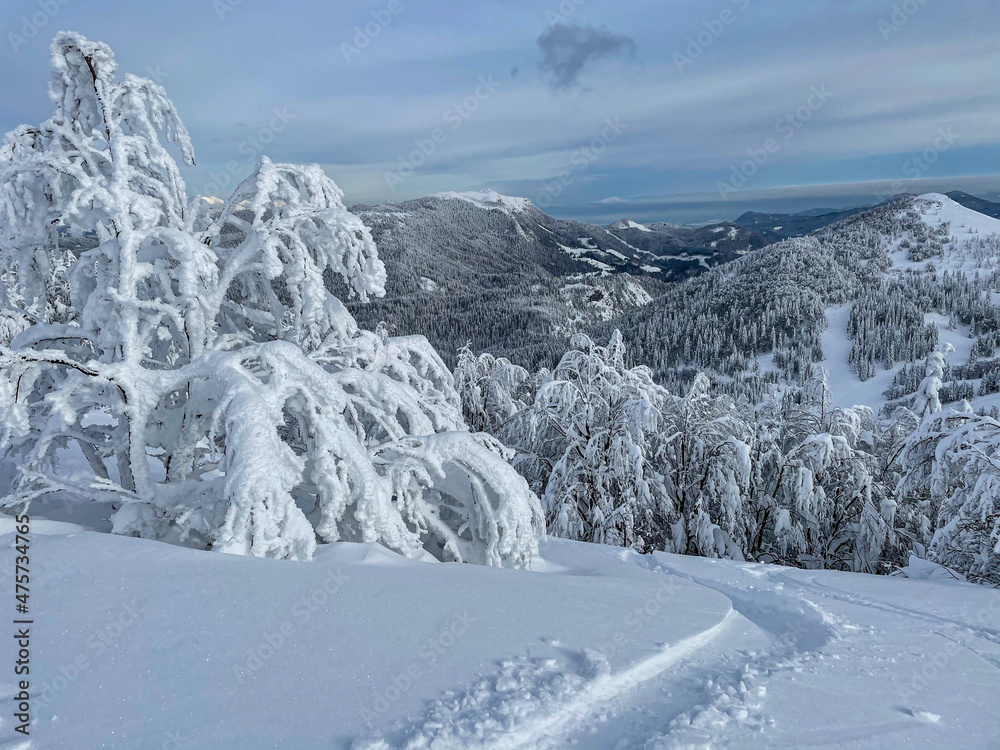 滑雪板小径沿着阿尔卑斯山的一座雪山向下延伸，俯瞰着广阔的山谷