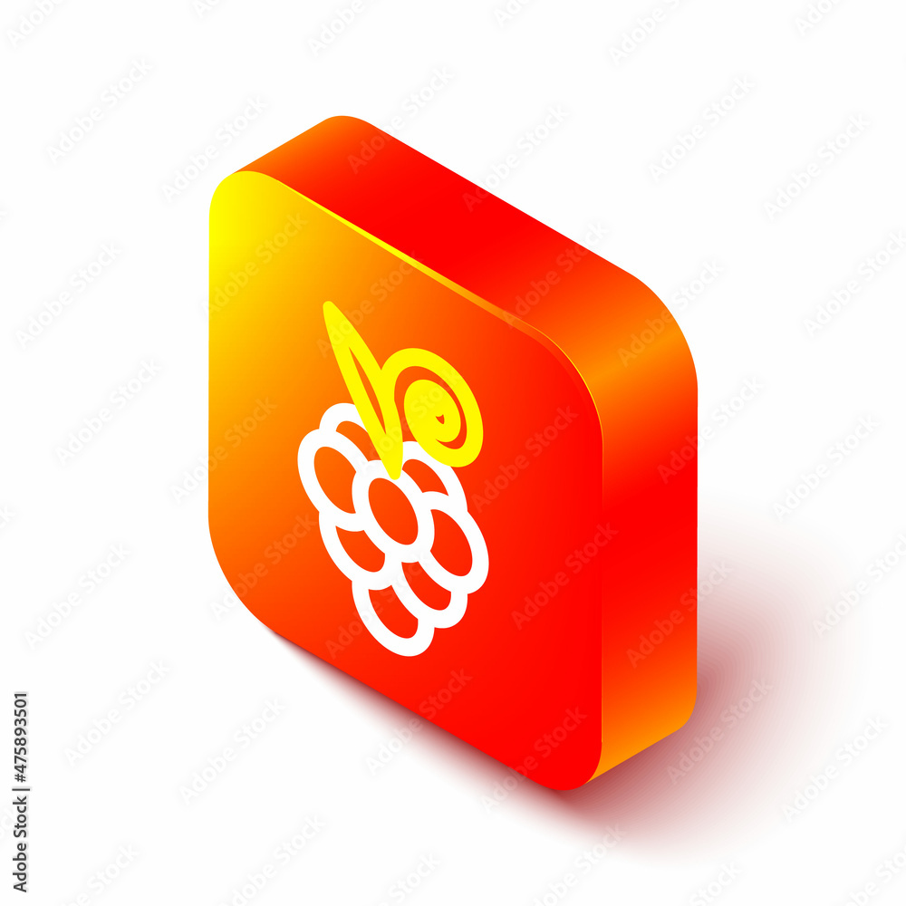 等距线葡萄果实图标隔离在白色背景上。橙色方形按钮。矢量