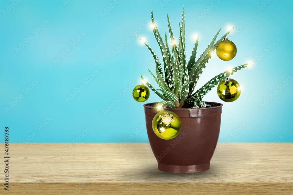 桌上有装饰球和花环的圣诞多汁植物