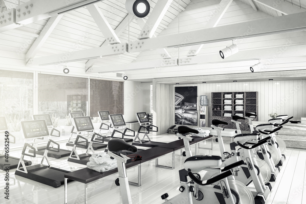 健身房内的跑步机和自行车-黑白3D可视化