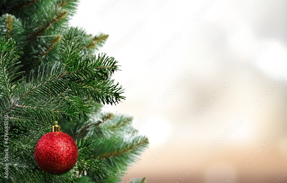 圣诞装饰。松枝上挂着玩具球——圣诞树花环和装饰品