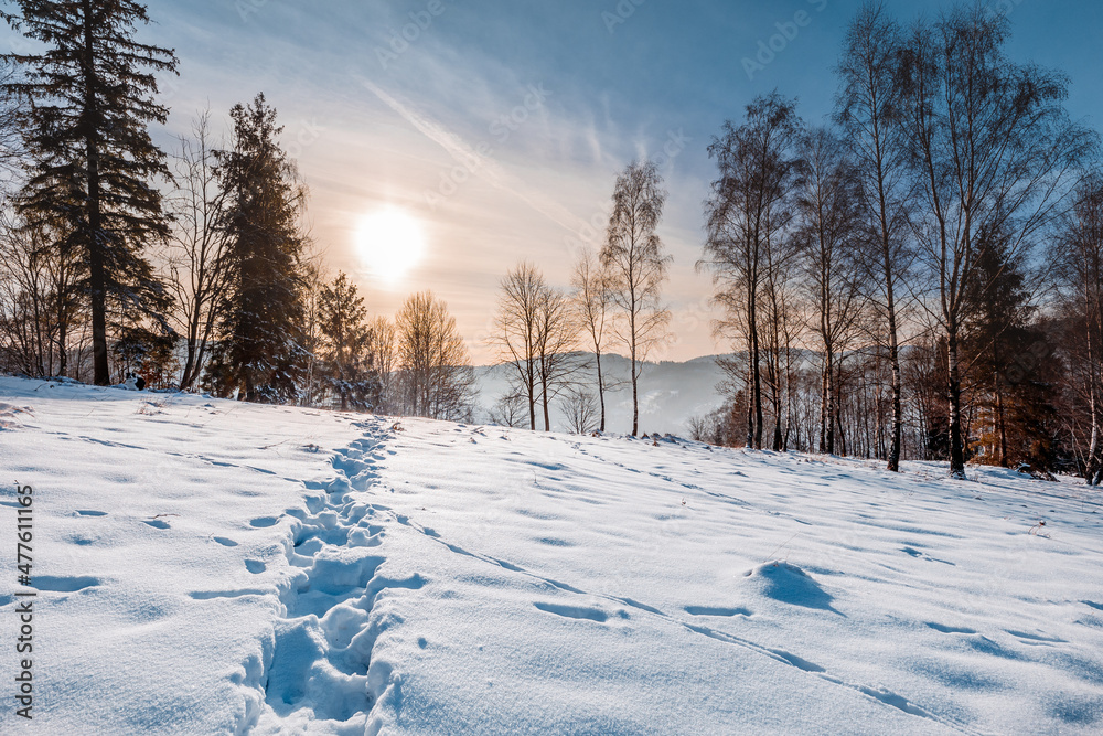 冬季景观背景上的雪道