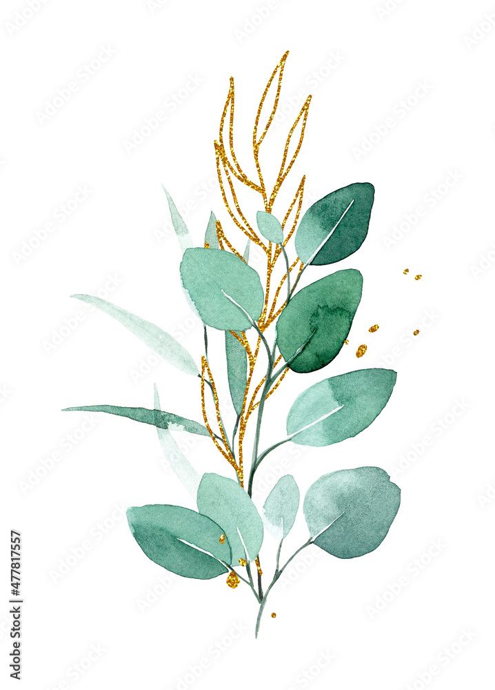 水彩画。花束，桉树树枝的组成。金色和绿色的桉树叶子。v