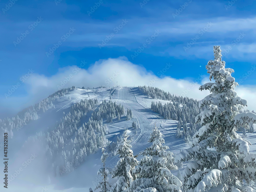 航空航天：斯洛文尼亚滑雪场整洁的雪坡的田园风光。