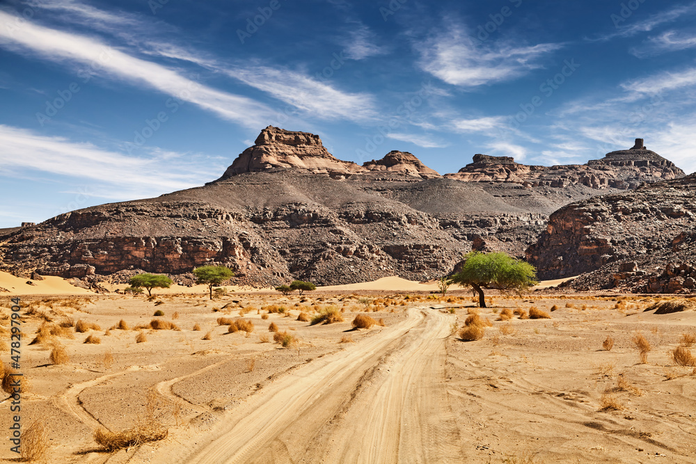 阿尔及利亚撒哈拉沙漠的道路