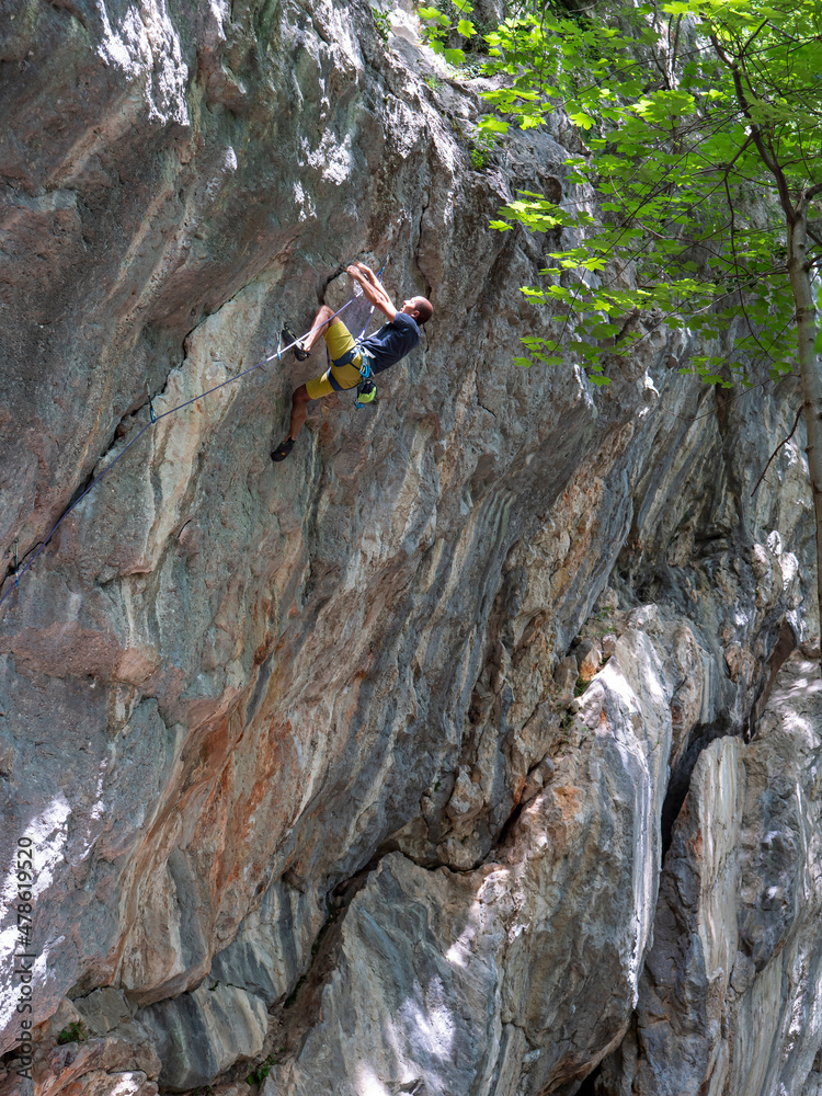 垂直：敏捷的人顶绳索爬上郁郁葱葱的绿色树林中的岩石墙。