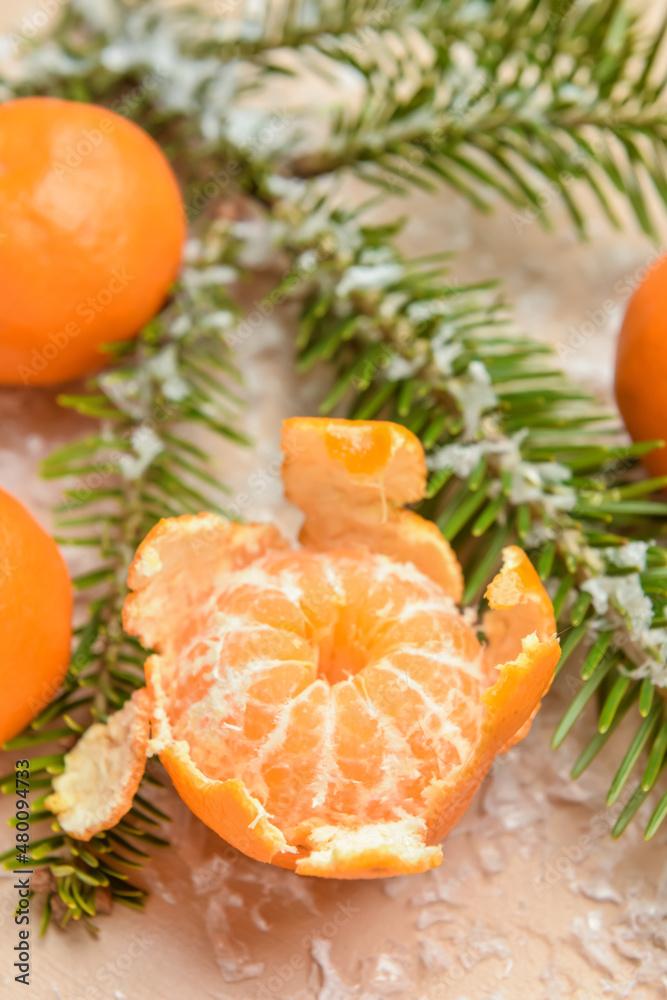 米色背景下的美味橘子、雪和冷杉树枝